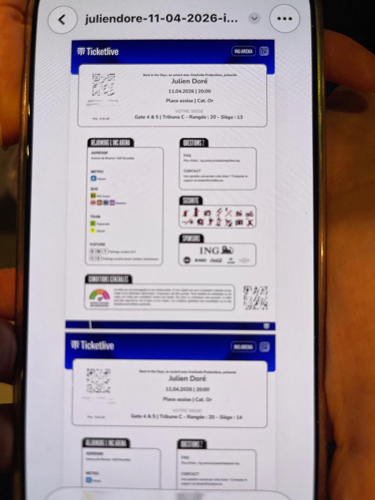 3 billets Julien Doré ING Arena Bruxelles 11 avril 2026, Tickets & Billets, Concerts | Chanson française, Trois personnes ou plus