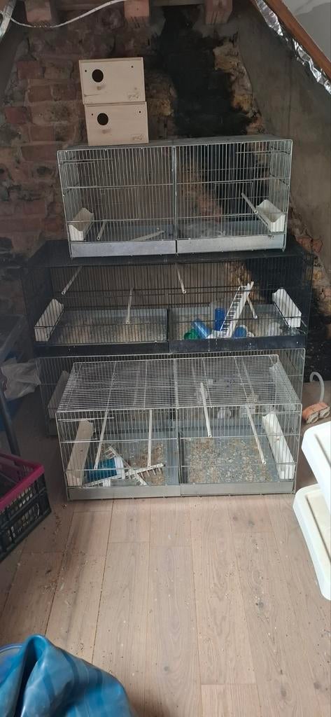 Draadkooien, Dieren en Toebehoren, Ophalen