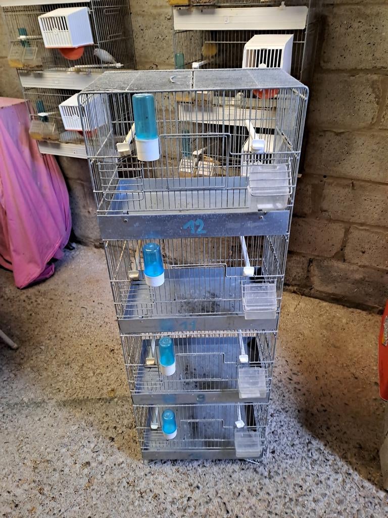 Bloc d'élevage pour oiseaux, Enlèvement