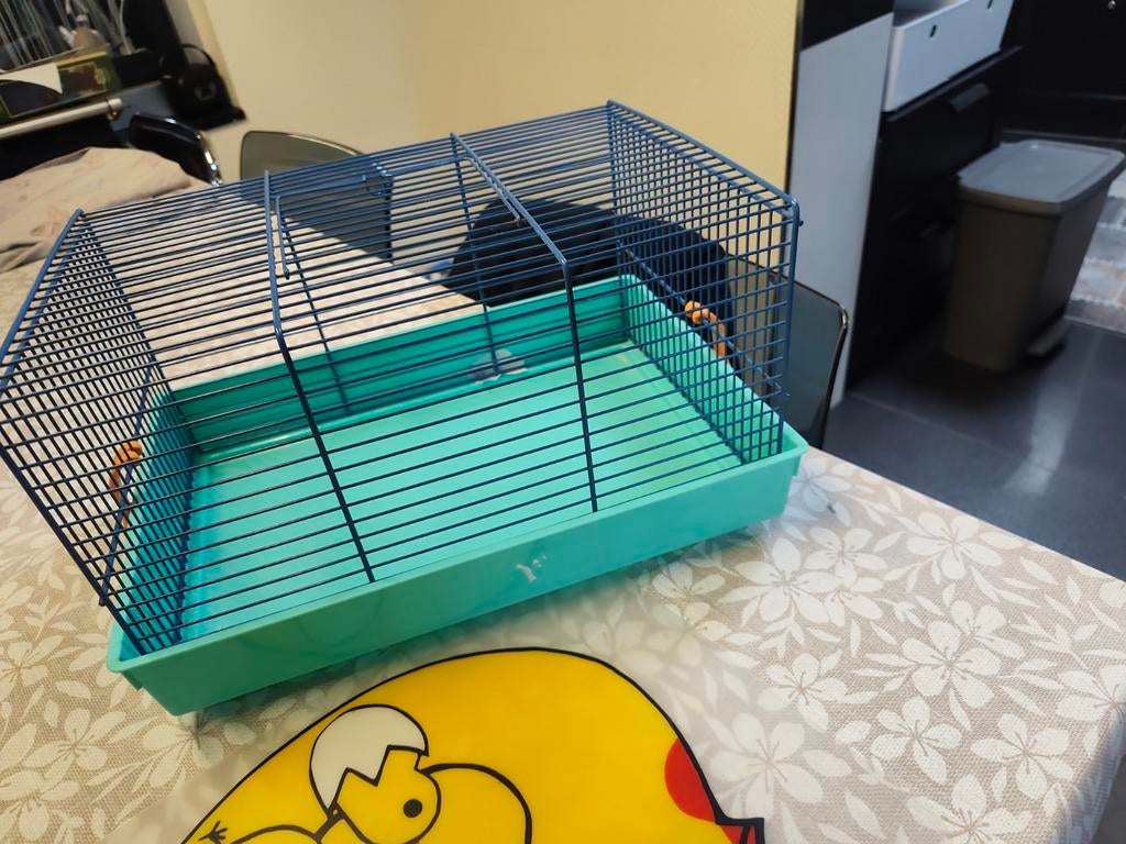 Cage pour hamsters, Moins de 60 cm, Cage, Comme neuf, Rat