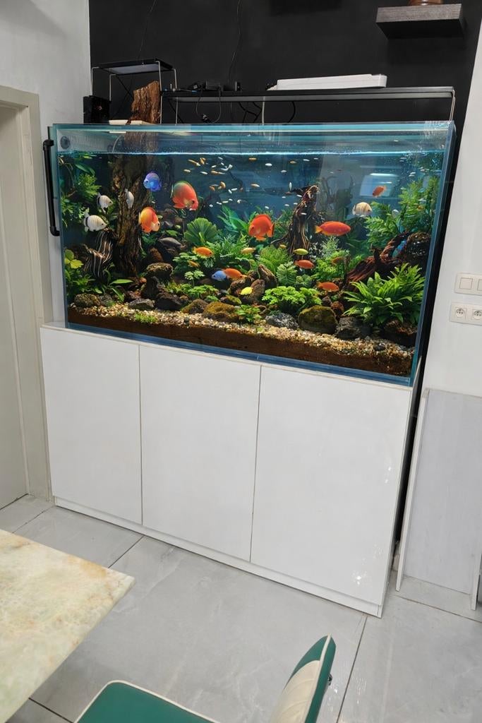 Grand aquarium personnalisé 700L - verre de 15 mm - système, Enlèvement, Éclairage
