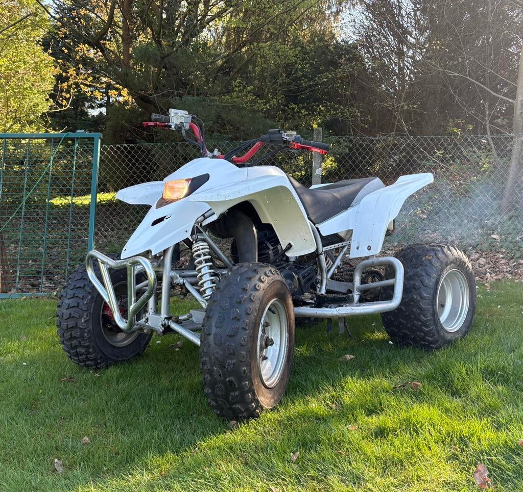 Yamaha Blaster, Motoren