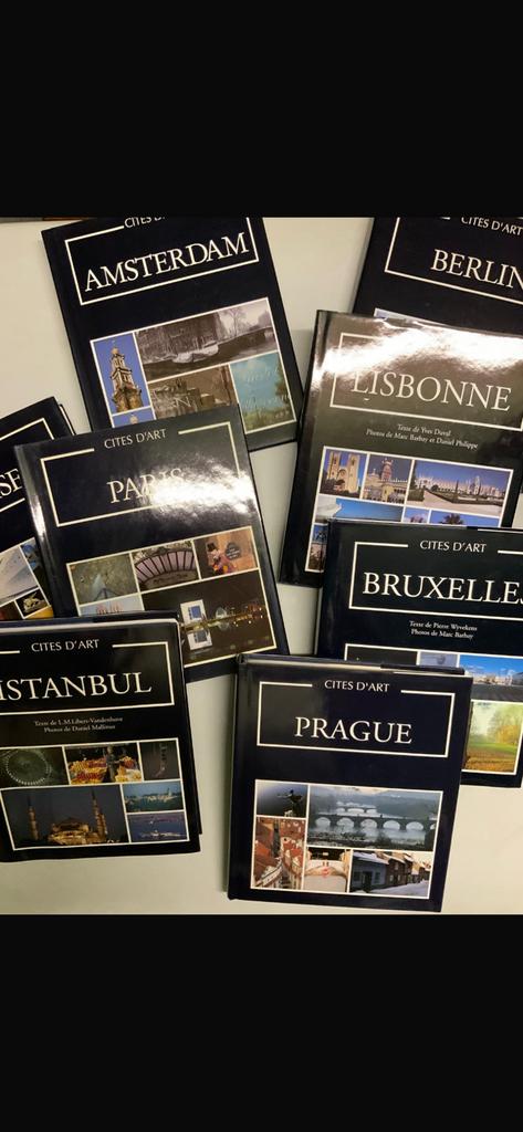 Livres villes, castels et donjons, Livres, Enlèvement, Comme neuf, Livre d'images