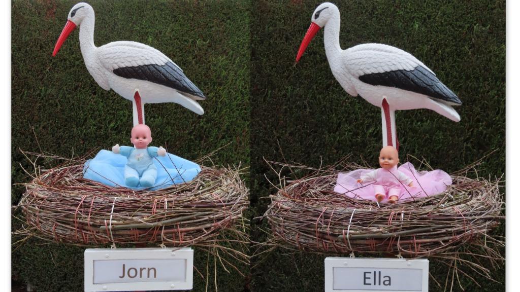 Geboorteborden huur goedkoopst geboorte ooievaar + echt nest, Enlèvement, Neuf, Tableau de naissance