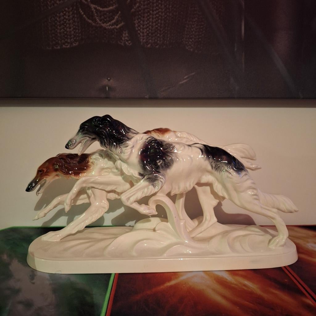 Borzoi windhonden, Ophalen