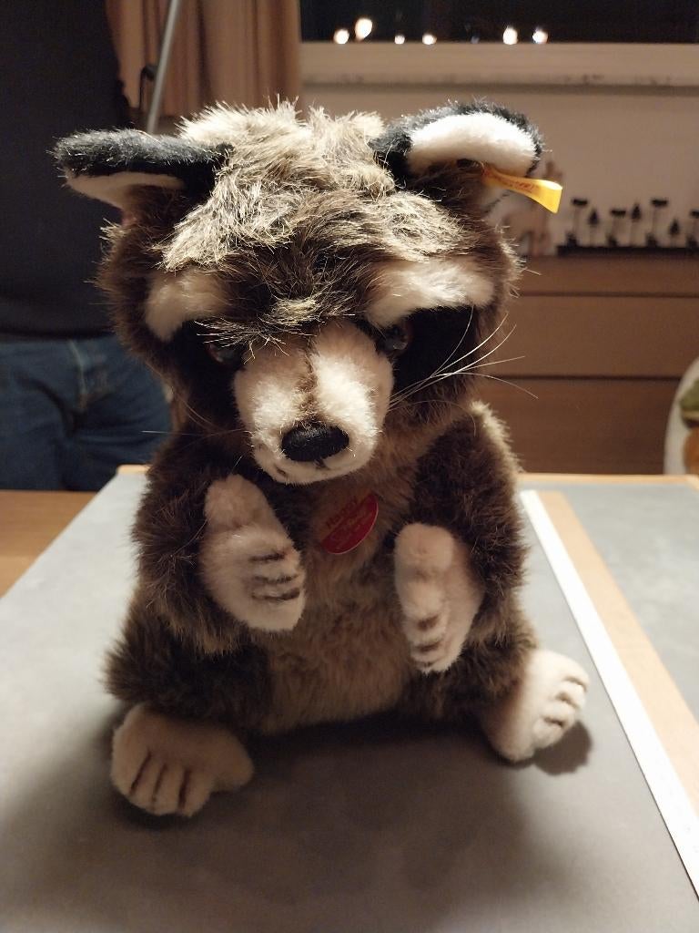 Steiff Wasbeer Raggy, Collections, Ours & Peluches, Enlèvement ou Envoi, Comme neuf, Steiff