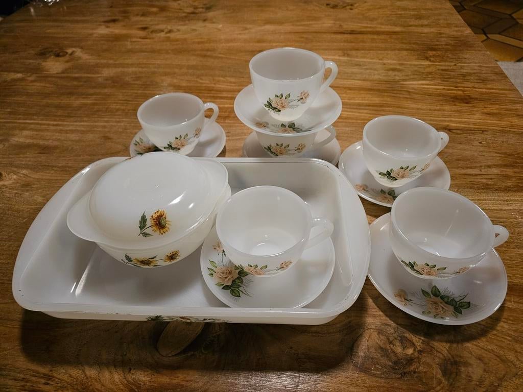 Vintage ARCOPAL ROSE servies, Antiek en Kunst, Ophalen
