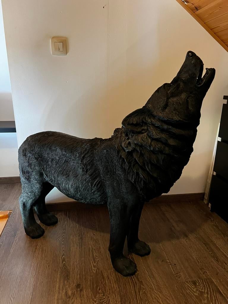 Polyester wolf, Enlèvement