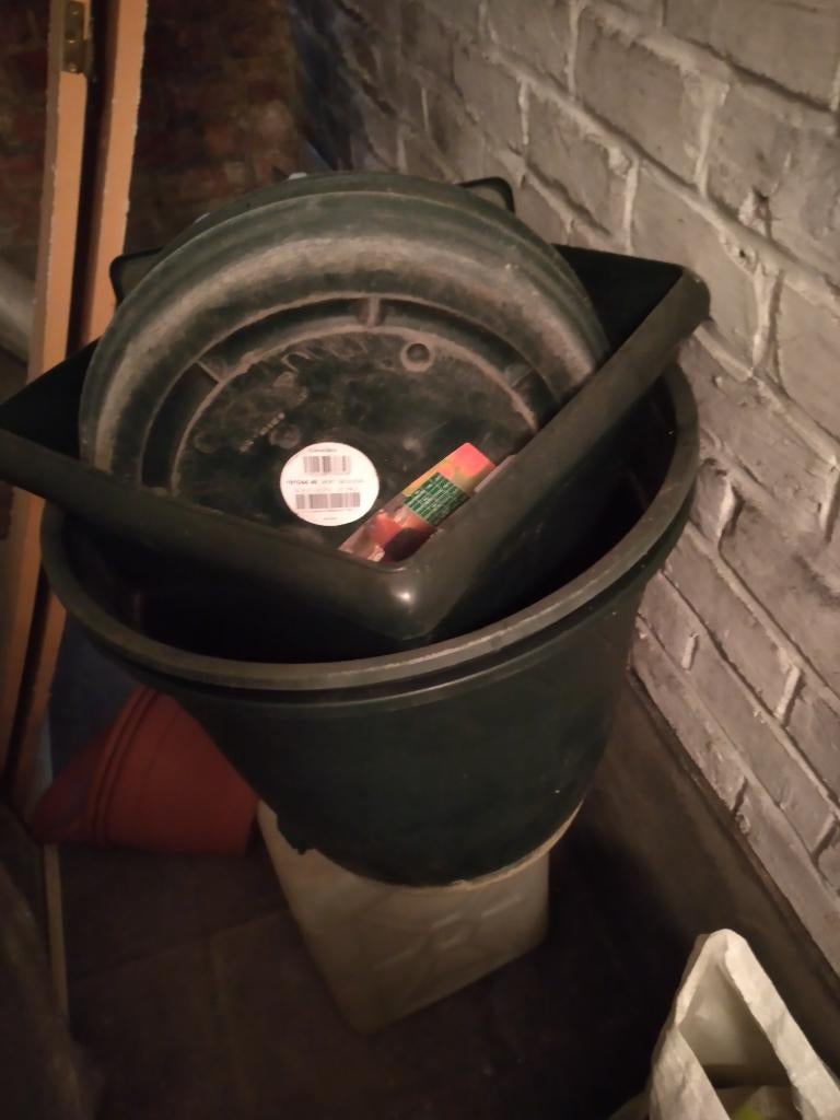 POT PLANTE, Enlèvement, Utilisé