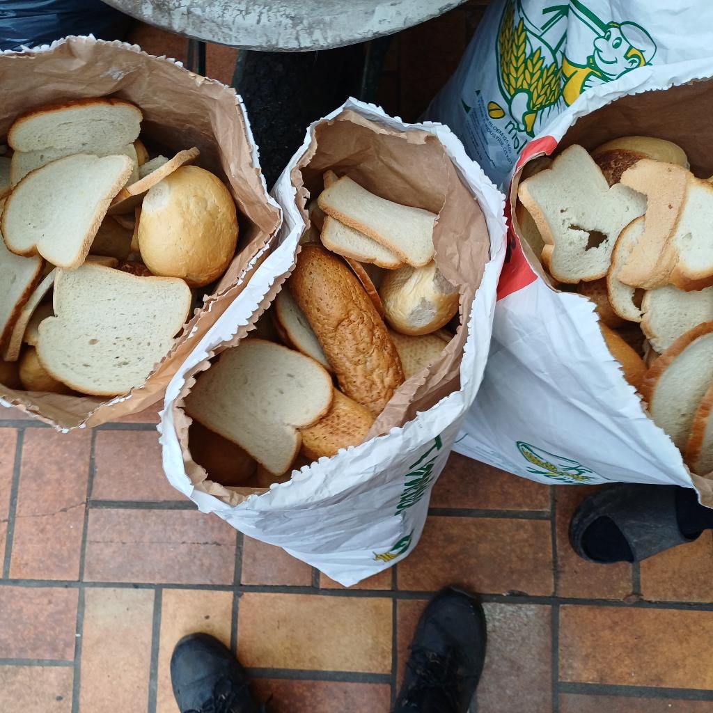 Droog oud brood, Dieren en Toebehoren, Schapen, Geiten en Varkens