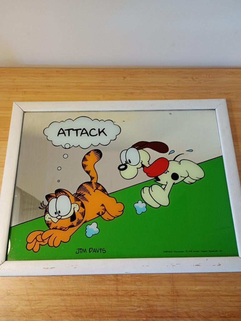 Cadre Miroir Garfield 1978, Ophalen, Gebruikt, Rechthoekig