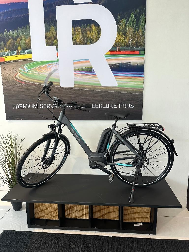 Prestige Gepida Reptila, 47 tot 50 cm, Versnellingen, Nieuw, Ophalen