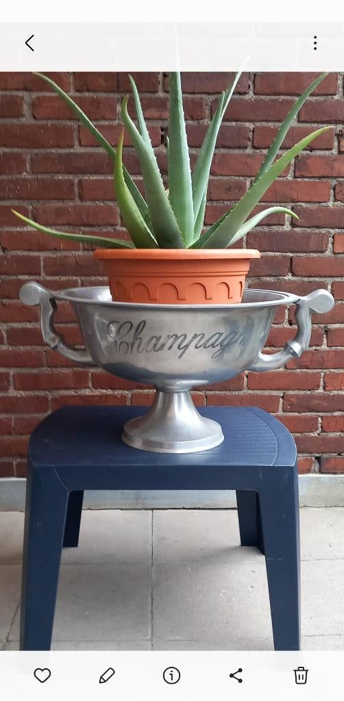 Zware Vintage Champagneschaal of Champagnekoeler op voet, Gebruikt, Ophalen of Verzenden, Minder dan 5 flessen, Metaal