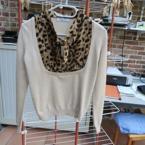 Fijn pulleke beige zijde cashmere Blumarine mt 36 (it40), Vêtements | Femmes, Pulls & Gilets, Comme neuf, Taille 36 (S), Beige