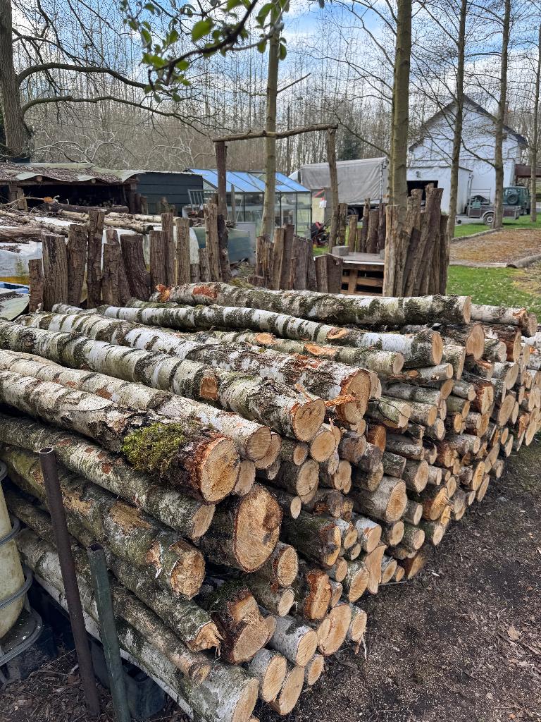 Brandhout berk, stammen op 2 meter heel mooi en proper hout, Tuin en Terras, Brandhout, 6 m³ of meer, Ophalen, Berkenhout, Stammen