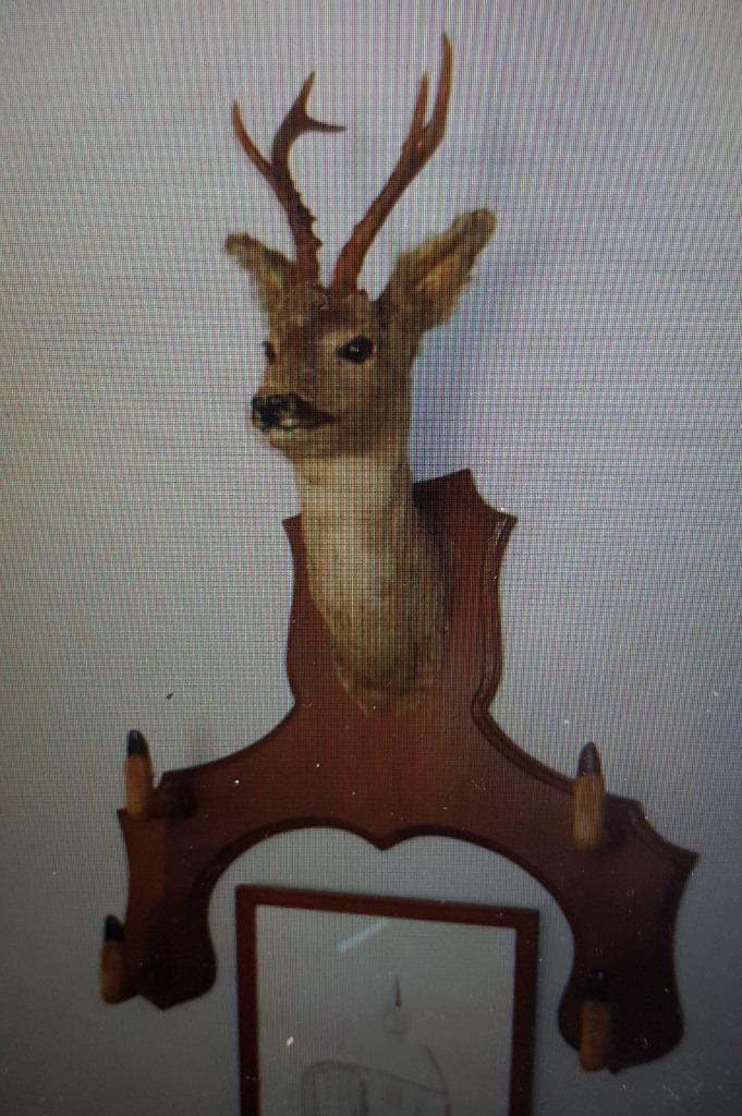 Hertenkop met poten, Ophalen, Zo goed als nieuw, Hert, Gewei of Kop