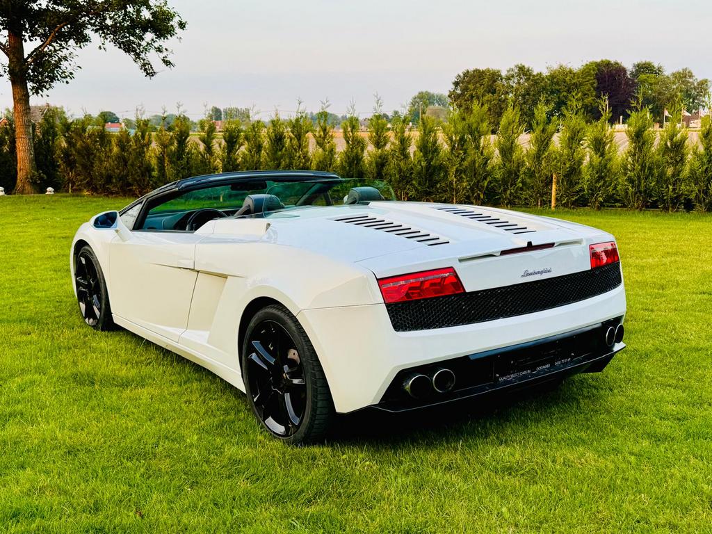 lamborghini spider, Auto's, Lamborghini, Achterwielaandrijving, Cabriolet, Wit, Bedrijf