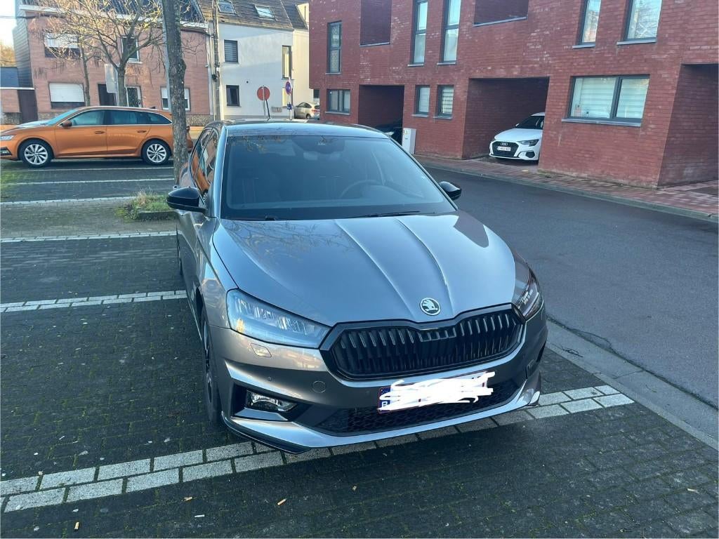 Skoda Fabia 1.0 TSI Monte Carlo DSG, Argent ou Gris, Achat, Euro 6, 1650 kg