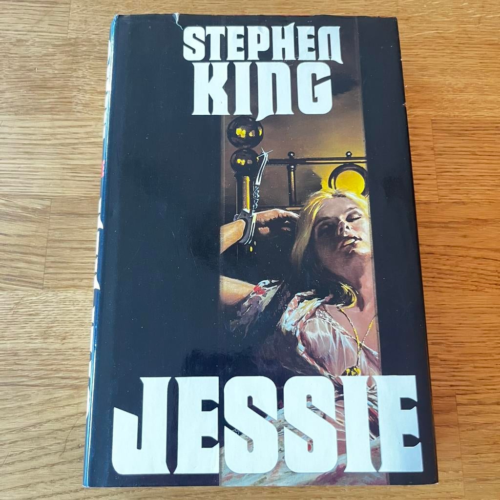 Stephen King – Jessie – Roman thriller, Enlèvement ou Envoi, Utilisé