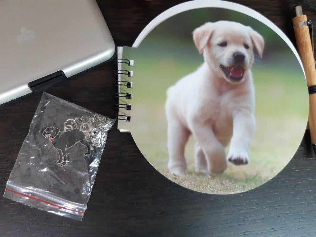 Set met allerlei gadgets: slijpers, notaboekje, tasje, hond, Enlèvement ou Envoi, Comme neuf