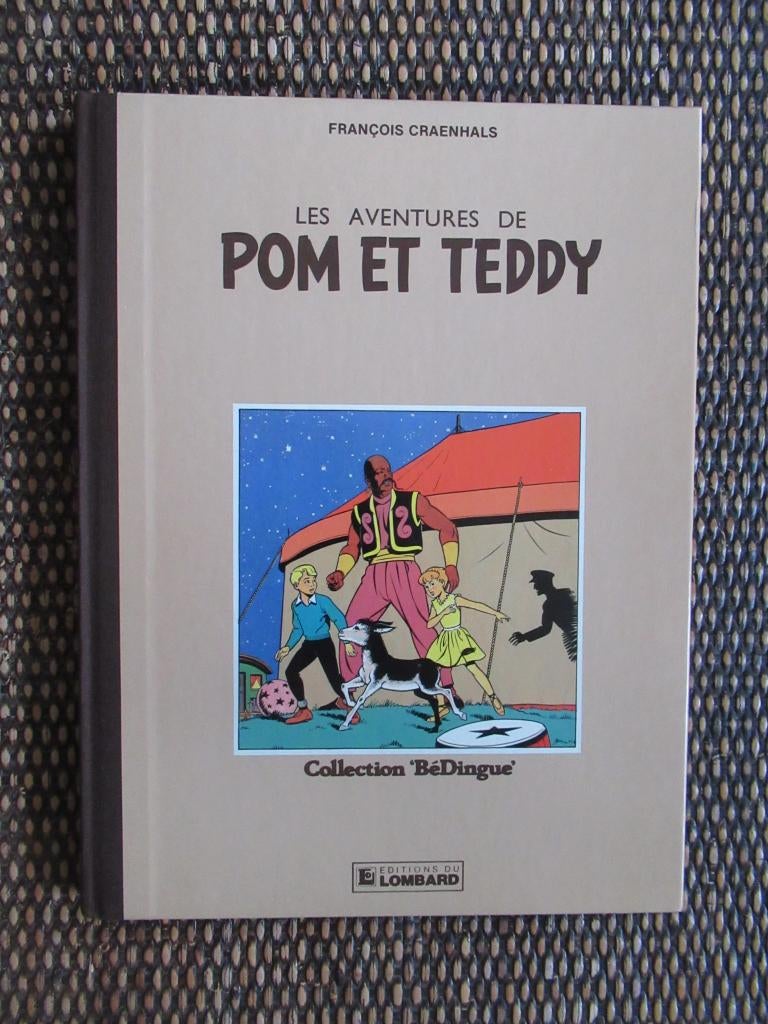 Pom et Teddy : tome 1 (dos toilé brun), Livres, Enlèvement, Comme neuf