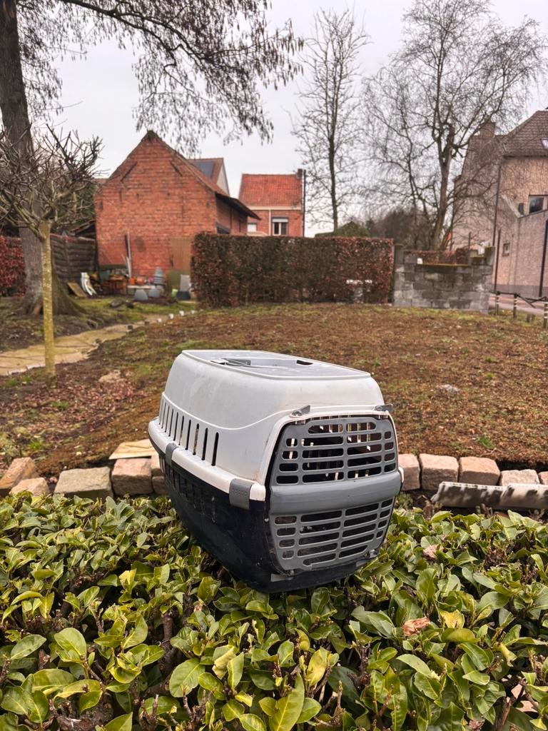 Katten transport doos, Dieren en Toebehoren, Ophalen, Zo goed als nieuw