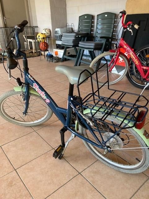 kinderfiets 20 inch, Fietsen en Brommers, Ophalen, Gebruikt, Versnellingen, BikeFun Kids (BFK)