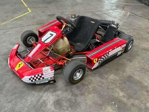 Parillia Leopard X30 125cc Race KART, Sport en Fitness, Karting, Ophalen, Gebruikt, Kart