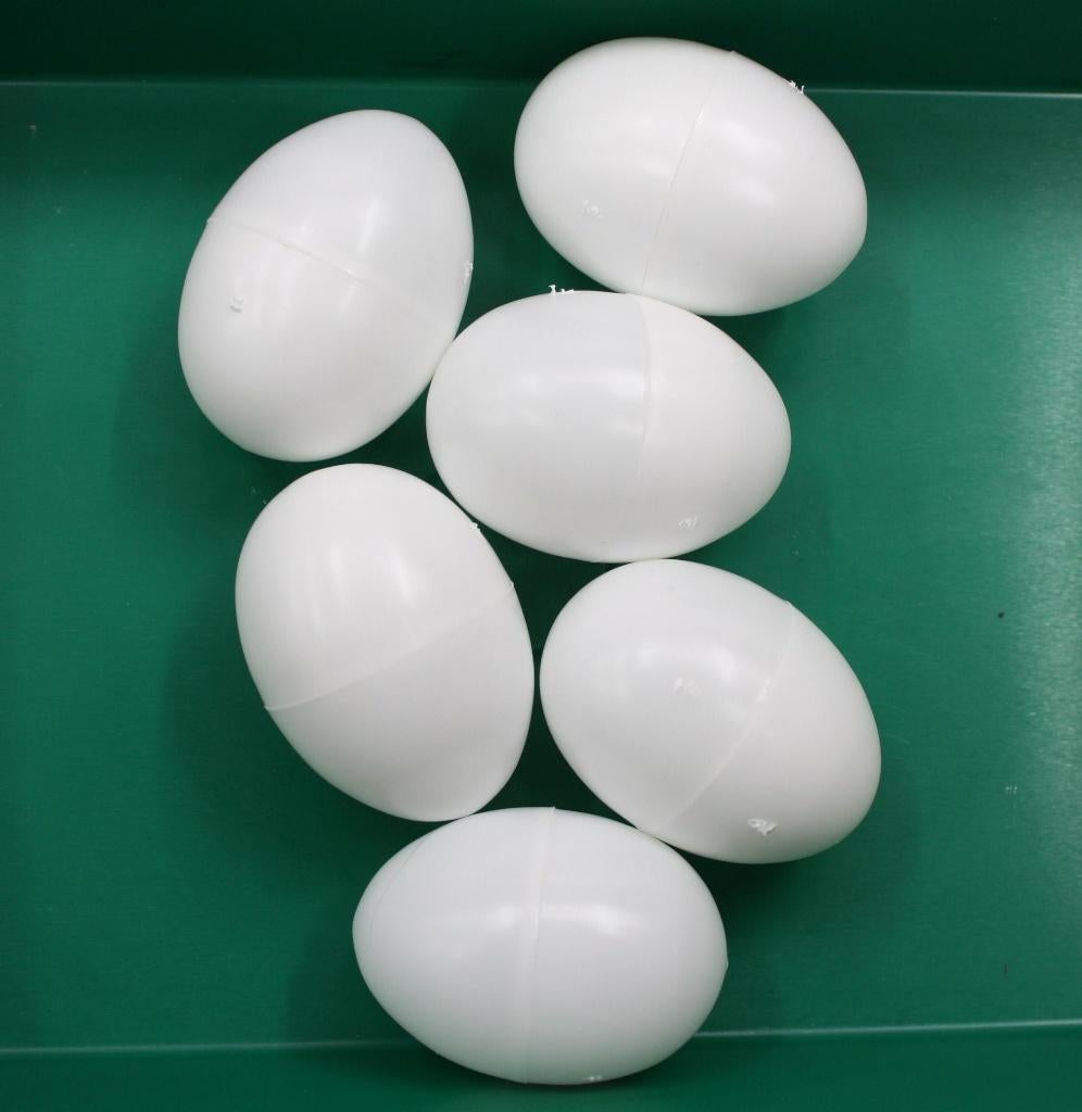 Oeufs de poule en plastique, Animaux & Accessoires, Enlèvement, Neuf, Poulailler