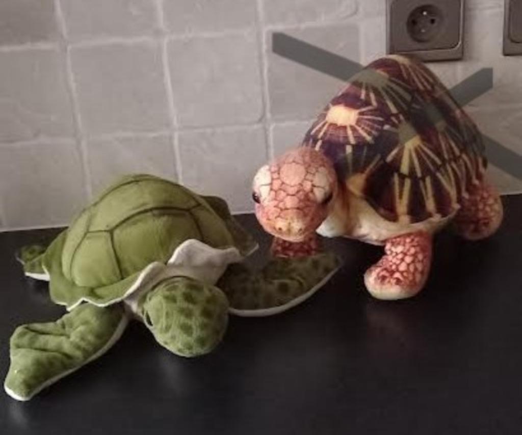 knuffel schildpad, Ophalen of Verzenden, Zo goed als nieuw