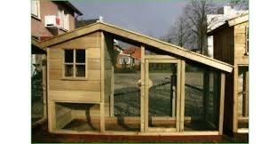 Grote verblijven duurzaam en op maat op voorraad, Dieren en Toebehoren, Knaagdieren, Januari, Mannelijk, Cavia