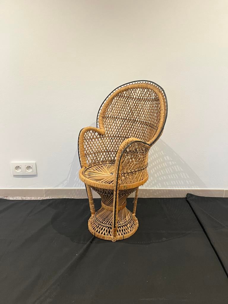 Fauteuil vintage en forme de paon, Antiquités & Art, Enlèvement