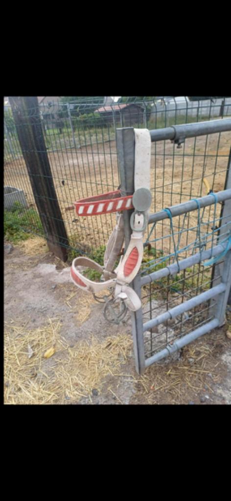 A vendre selles et matériels pour chevaux de trait, Animaux & Accessoires, Enlèvement, Utilisé, Autres espèces