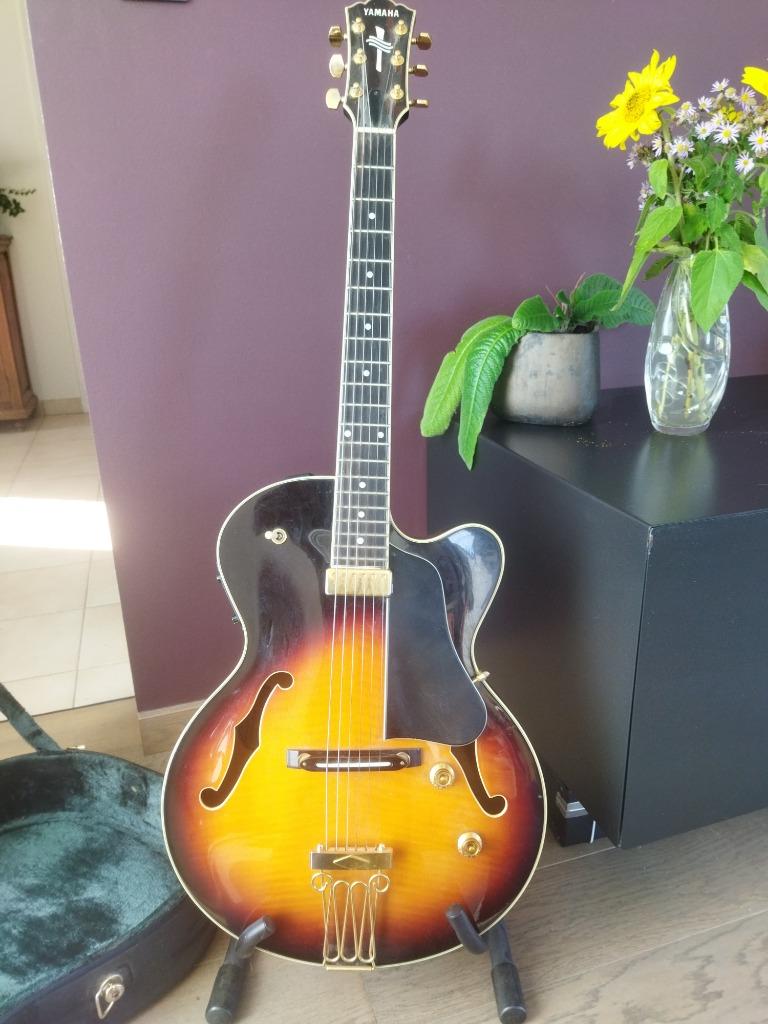 Jazzgitaar te koop, Ophalen, Zo goed als nieuw, Overige merken