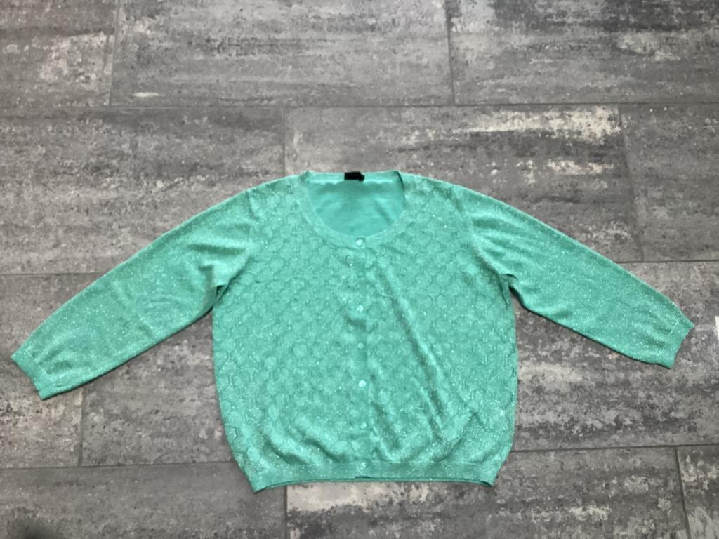 Gilet/Gilet Giovane 44, Taille 42/44 (L), Enlèvement ou Envoi, Comme neuf, Vert