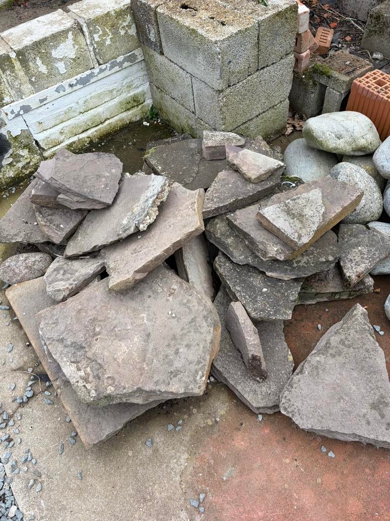 Sierstenen, Dieren en Toebehoren, Vissen | Vijvervissen