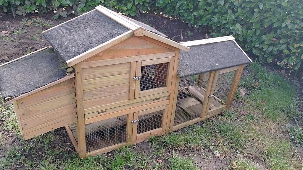 Poullaier a vendre, Animaux & Accessoires