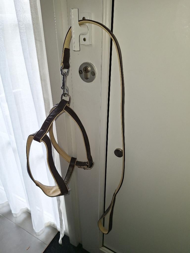 Lederen hondenharnas met leiband, Dieren en Toebehoren, Hondenriemen, Ophalen of Verzenden, Gebruikt, Hondenriem