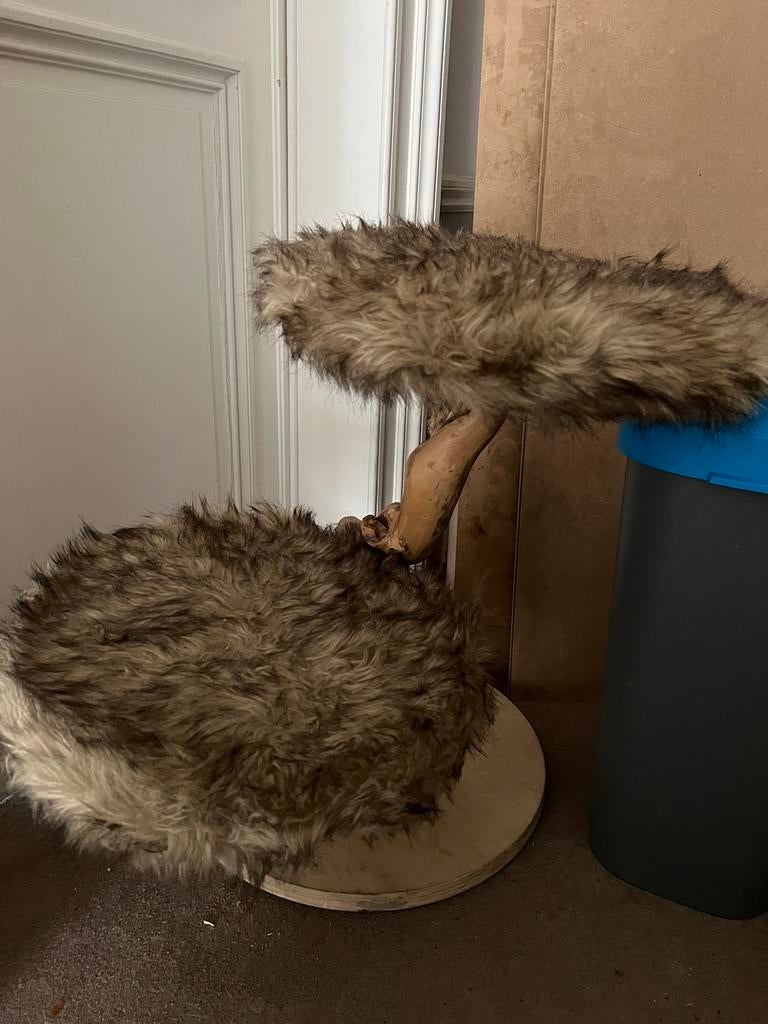 Arbre à chat, Animaux & Accessoires, Enlèvement, Comme neuf