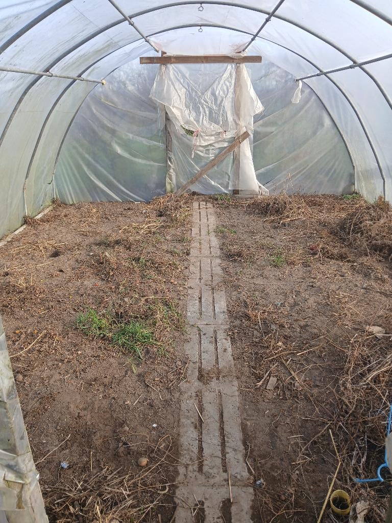 Serre, Tuin en Terras, Overkappingen, Ophalen, Gebruikt, Serre