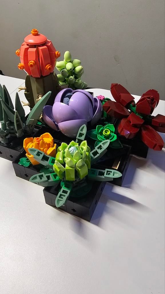 10309 LEGO Botanical Collection Succulents, Ophalen of Verzenden