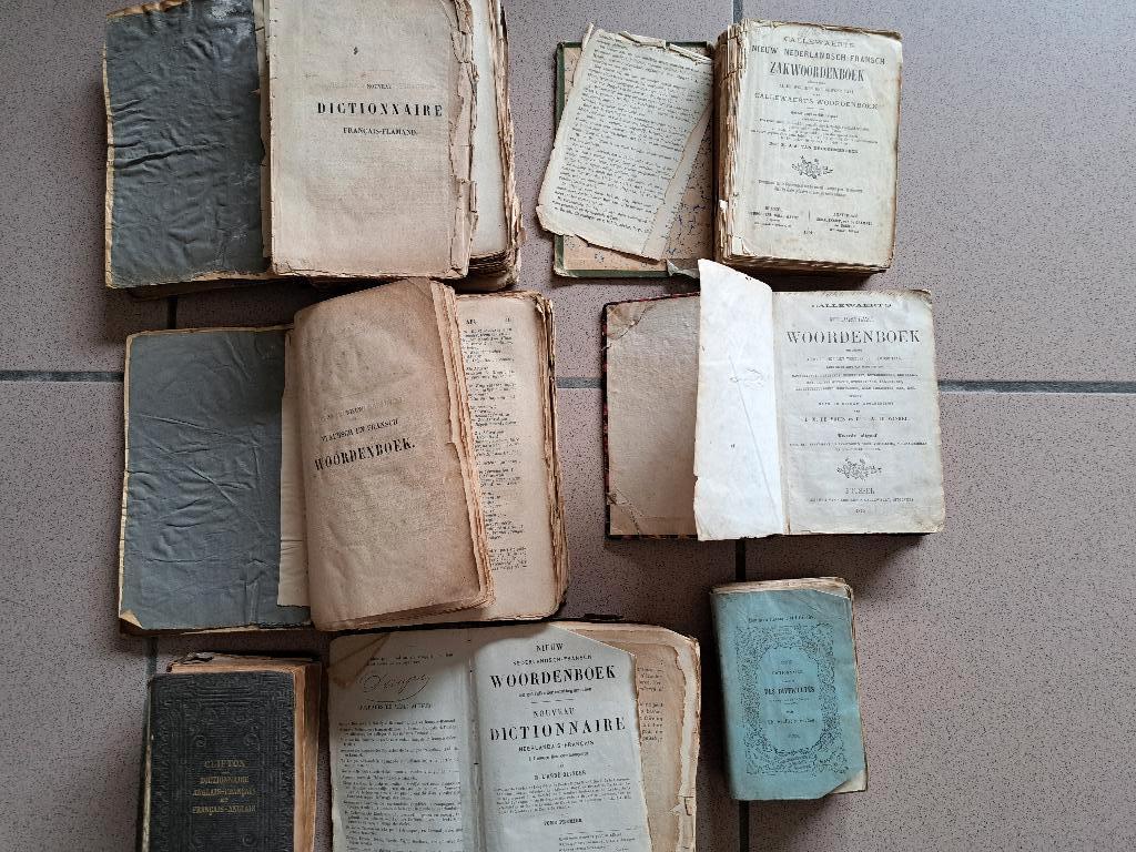 lot antieke woordenboeken, Antiek en Kunst, Antiek | Boeken en Manuscripten, Ophalen of Verzenden