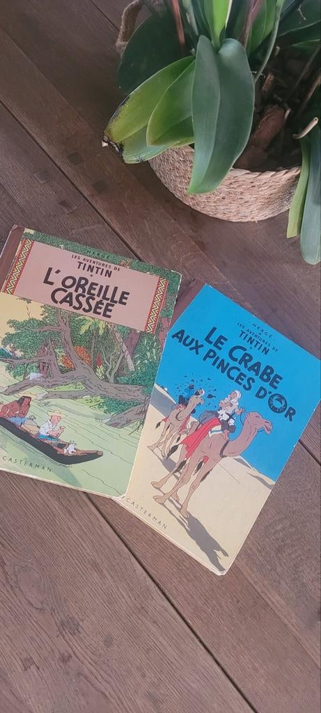 Lot de 2 albums Tintin – Casterman (anciens), Boeken, Stripverhalen, Ophalen of Verzenden