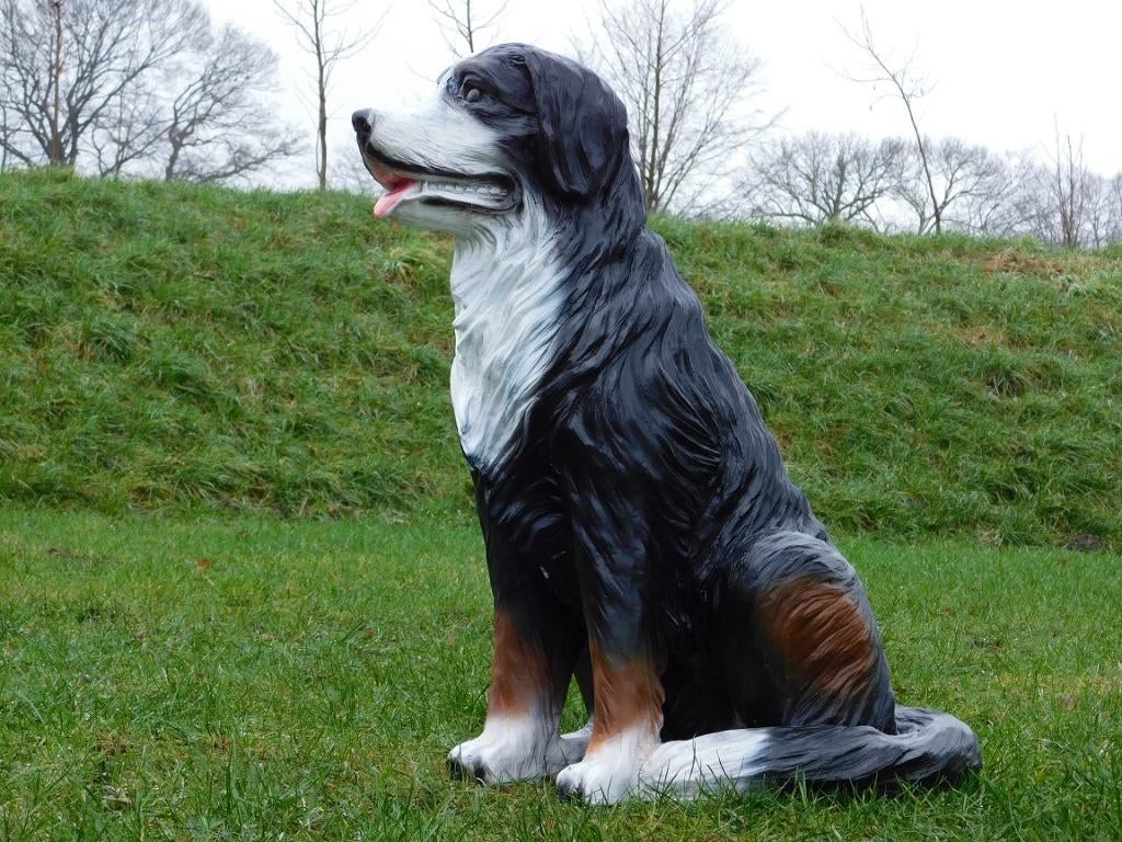 Beeld Berner Sennenhond - 80 cm - Polystone, Ophalen of Verzenden, Kunststof, Dierenbeeld