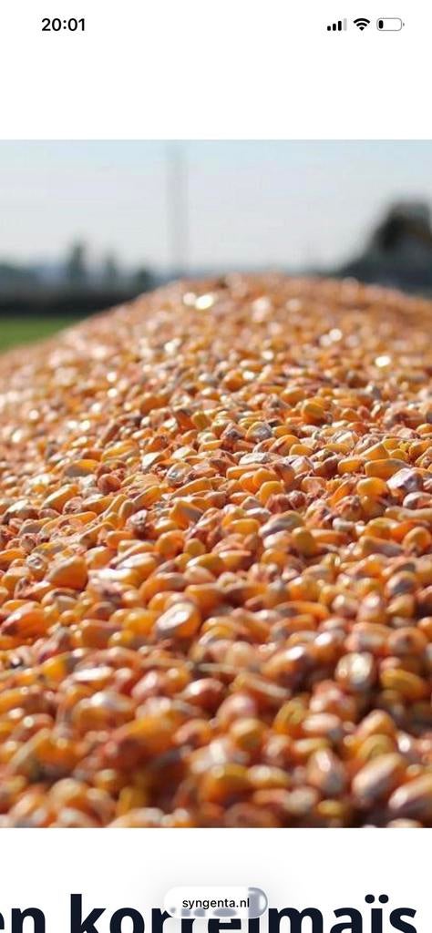 Agrarisch grond 8 hectare in midden- Marokko, Zakelijke goederen, Landbouw | Aardappelen, Groenten, Fruit en Vlees, Ophalen of Verzenden