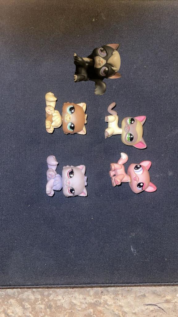 Littlest Pet Shop/LPS - katten, Enlèvement, Utilisé