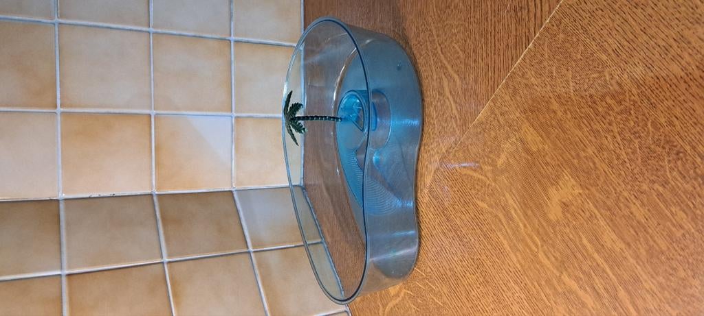 Petit aquarium tortue/ poisson., Enlèvement, Comme neuf, Aquarium vide