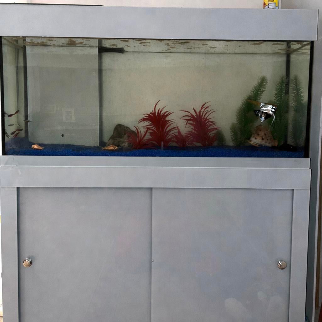 Aquarium full equipe, Enlèvement, Utilisé, Aquarium d'eau douce rempli