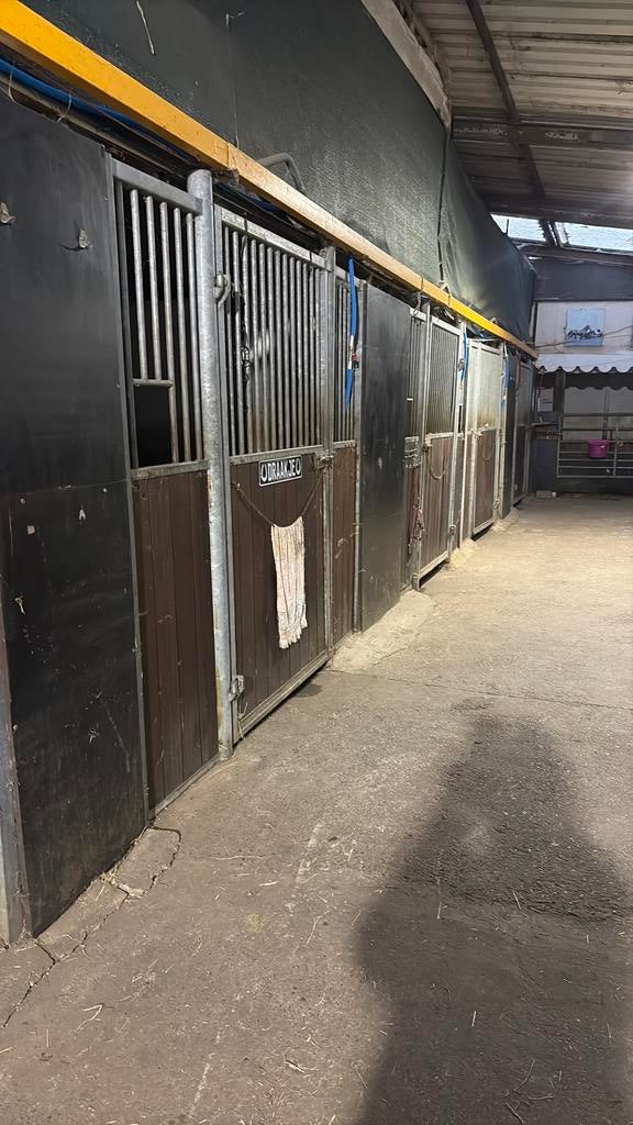 Paardenstallen te huur, binnenstallen en buitenweide/pension, Stalling