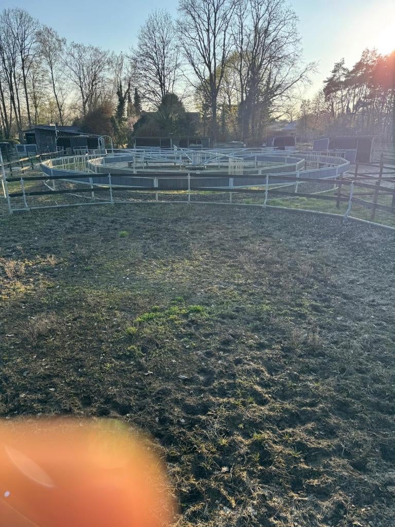 stapmolen, Weidegang, 4 paarden of pony's of meer